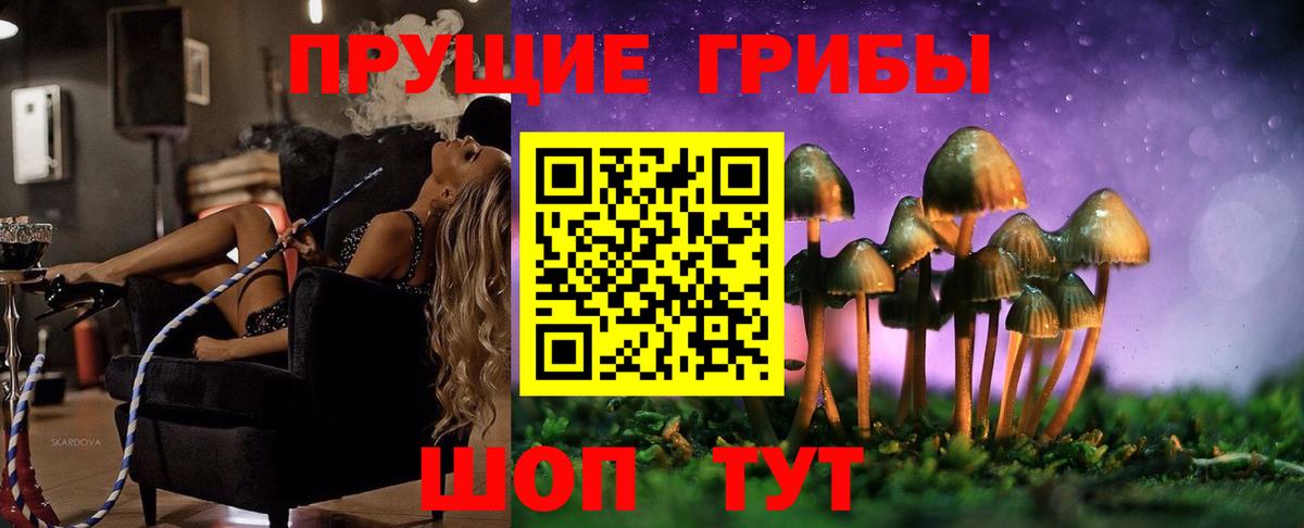 Псилоцибиновые грибы GOLDEN TEACHER  закладка  Воткинск  Вход с VPN 