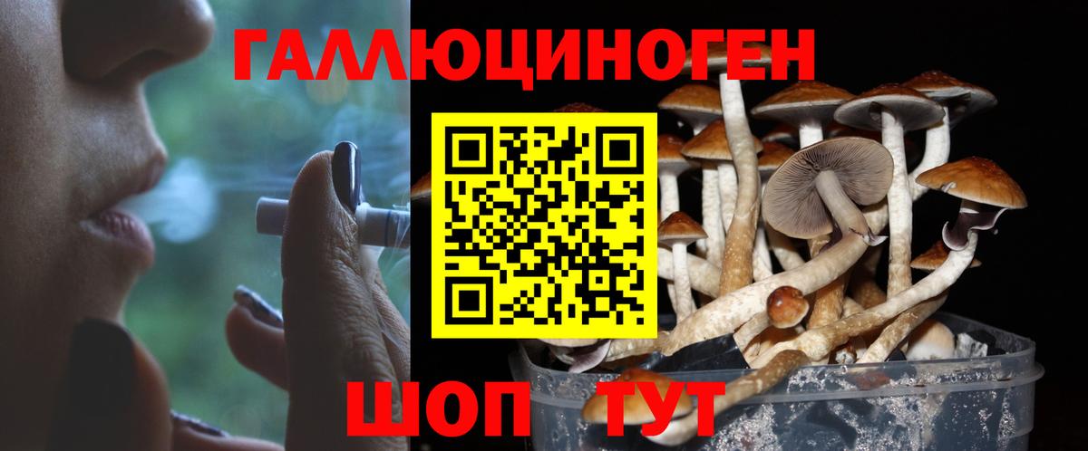 Галлюциногенные грибы Psilocybe Воткинск